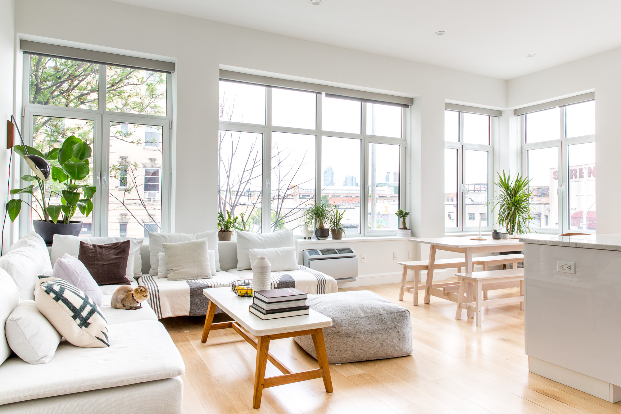 Blogs Professional residential and commercial cleaning services by Vibrant Property Services